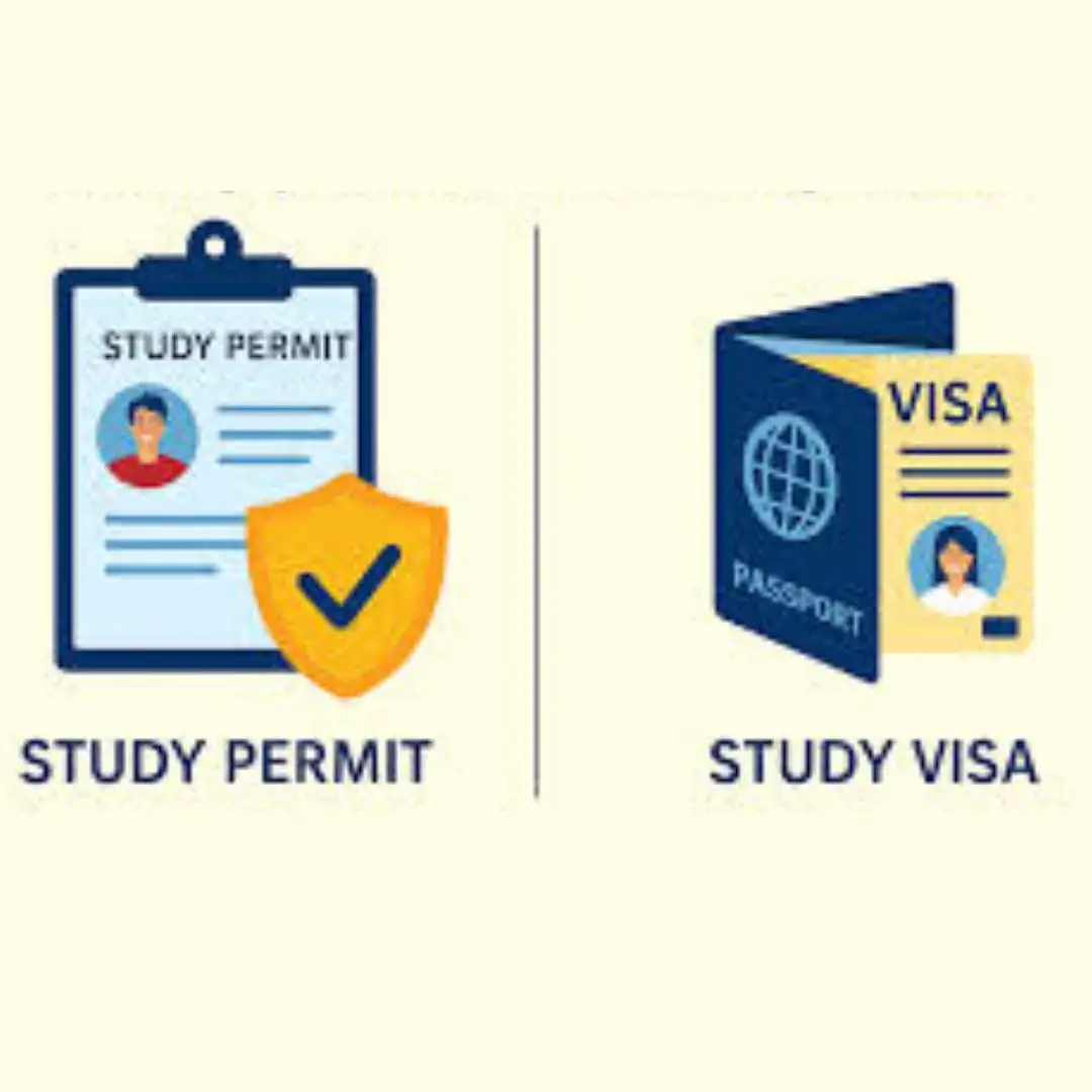 squareone overseas- study abroad